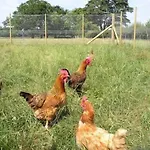Whashton Springs Nocleg ze śniadaniem