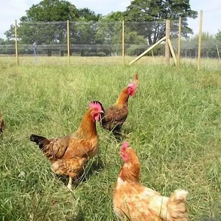 Whashton Springs Bed & Breakfast