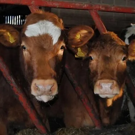 Whashton Springs Bed & Breakfast 4*