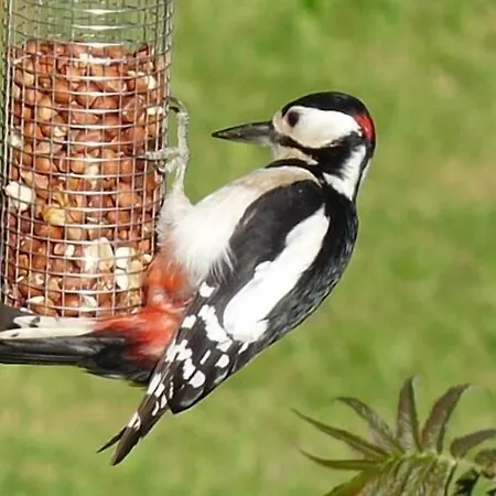 Whashton Springs Bed & Breakfast